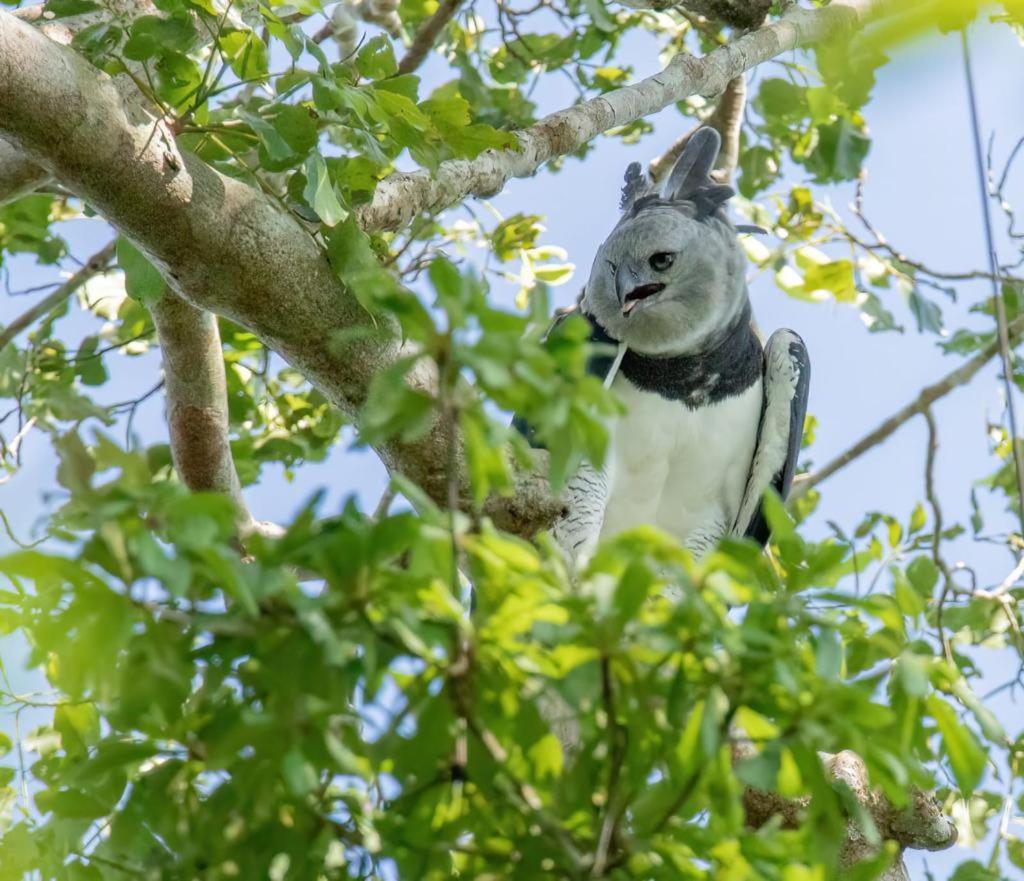 Green Diamond Amazon Lodge Puerto Maldonado Zewnętrze zdjęcie
